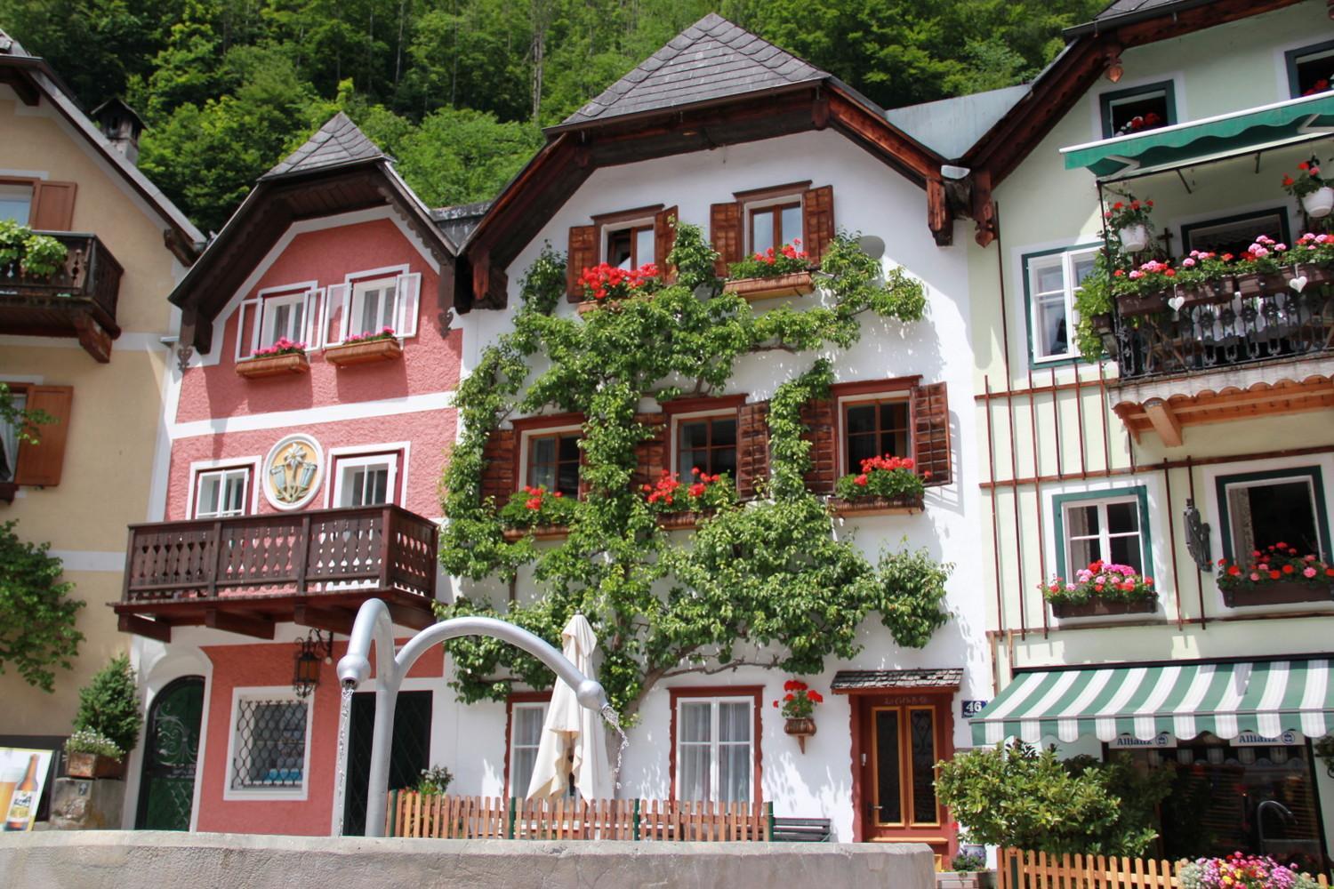 Apartments Gamsfeld Русбах-ам-Пас-Гшютт Экстерьер фото